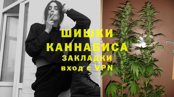 дмт Алексин