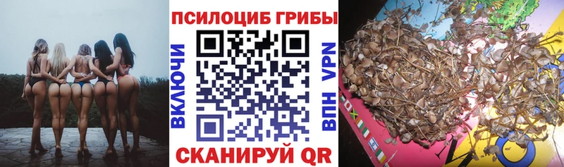 Псилоцибиновые грибы Psilocybe  Нефтеюганск 